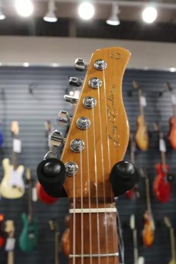 Larry Carlton - Sire T7 Anthique White 2